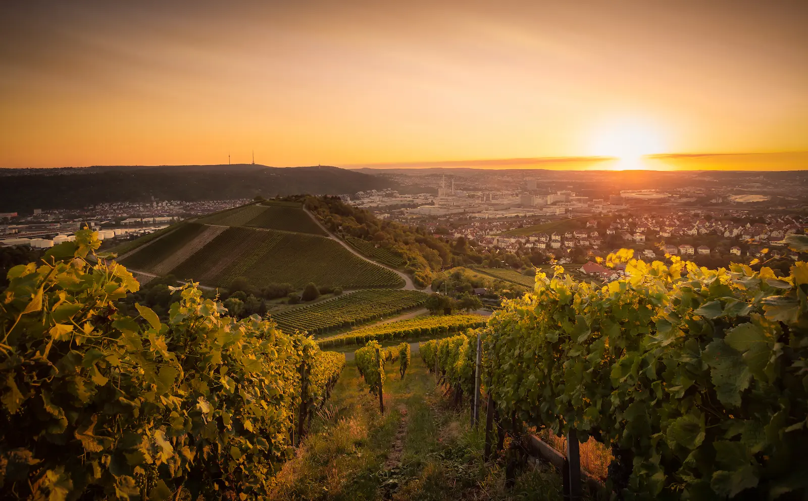Blick auf die Stadt Image